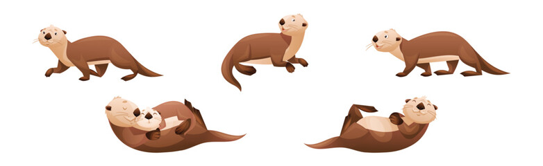 Wall Mural - sea otter as marine mammal and aquatic creature with brown coat and long tail vector set