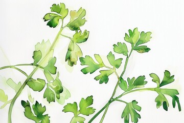 Wall Mural - Watercolor Herbs Illustration with Copy Space: Nature and Simplicity