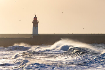 Wall Mural - Tempête à Men Meur