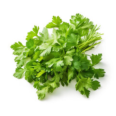 Wall Mural - Parsley bunch isolated on white background, clipping path, full depth of field 