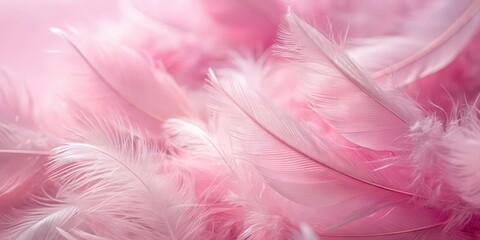 Poster - Close-up of soft pink feathers on a pink background, feathers, soft, pink, background, delicate, texture, light, fluffy, elegant