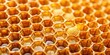 © Sujid - Close-up of a honeycomb structure filled with golden honey, honeycomb, close-up, hexagonal, wax, cells, golden, honey, nature, marvel