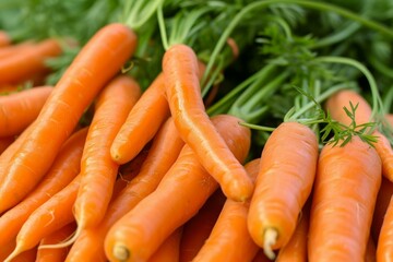 Sticker - Closeup of vibrant, fresh organic carrots with their green tops, grown on a sustainable farm and harvested from the earth