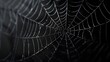 © irawan - Real creepy spider webs on black banner