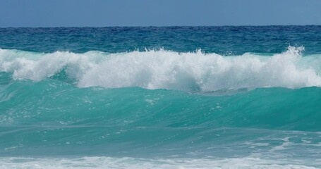 Wall Mural - wave of the sea