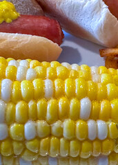 Wall Mural - Closeup of an ear of bicolor corn and hotdogs in buns