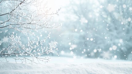 Wall Mural - A snowy landscape with a tree branch covered in snow