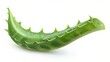 © Yusif - Fresh aloe vera leaf isolated on a white background