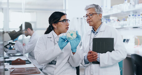 Poster - Science, people and conversation with petri dish in laboratory for medical research, experiment and practical exam. Girl, woman and biochemistry internship and discussion on study and analysis.