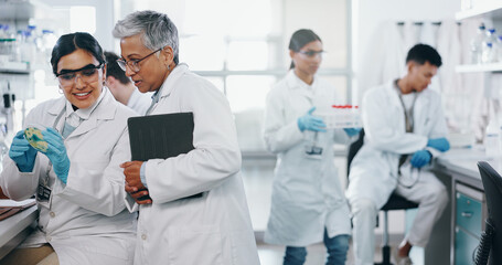 petri dish, people or learning science in lab for breakthrough, cancer cure or medical development. 