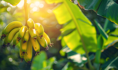 Wall Mural - Natural fresh fruit for health