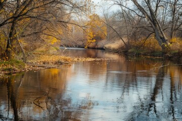 Wall Mural - Calm river water with a gentle current and reflections of trees, Generative AI 