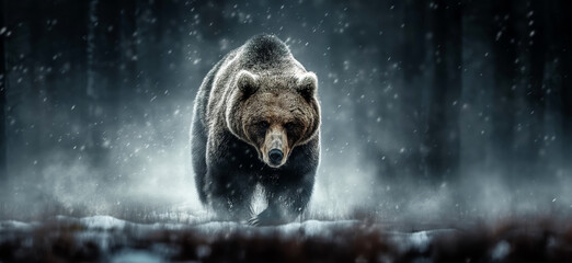 Bear wallpaper. Bear poster