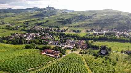 Italy , drone view  of a countryside landscape with green hills of nature, vineyards of the Tuscan and Lombard Apennines with rows of grapes ready for harvesting for the production of Italian wine