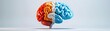 © Anutha - A colorful brain artwork divided into red and blue halves, symbolizing creative and analytical thinking