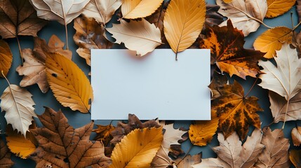 autumn background