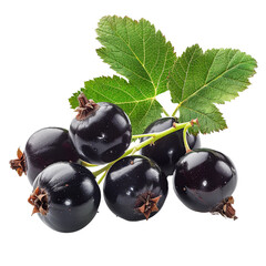 Poster - Fresh black currants with green leaves on stem organic berries transparent background