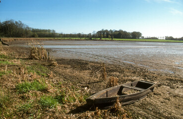 Naklejka na meble Etang, Dombes, 01, Ain, France