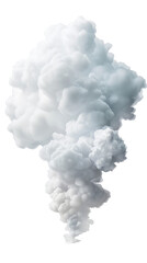 Wall Mural - a white cloud with a grayish tint
