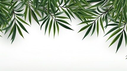bamboo leaves background