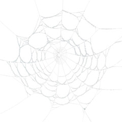 detailed spider web design, isolated on transparent background