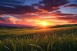© Rawpixel.com - Spring grass landscape sunset grassland.