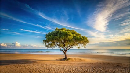 Wall Mural - A serene scene of a lone tree standing on a sandy beach , tree, beach, sand, tranquil, nature, ocean, shoreline