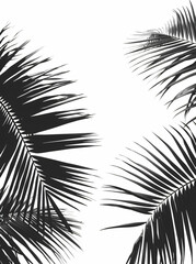 Sticker - Black and white palm leaves on a light background. Minimalism,


