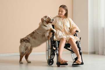 Sticker - Beautiful young woman in wheelchair with cute service dog indoors