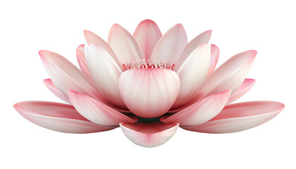 Wall Mural - Pink lotus flower isolated on white background