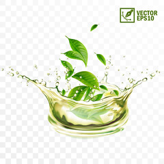 realistic transparent isolated vector splash of green tea with green leaves and drops, a splash in t