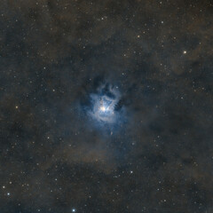Wall Mural - deep space astrophotography using a telescope to capture the iris nebula ngc 7023