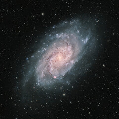 Wall Mural - deep space astrophotography using a telescope to capture the triangulum galaxy