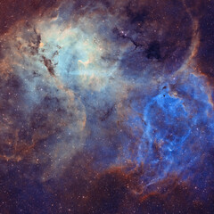 Wall Mural - deep space astrophotography using a telescope to capture the lion nebula sh2-132