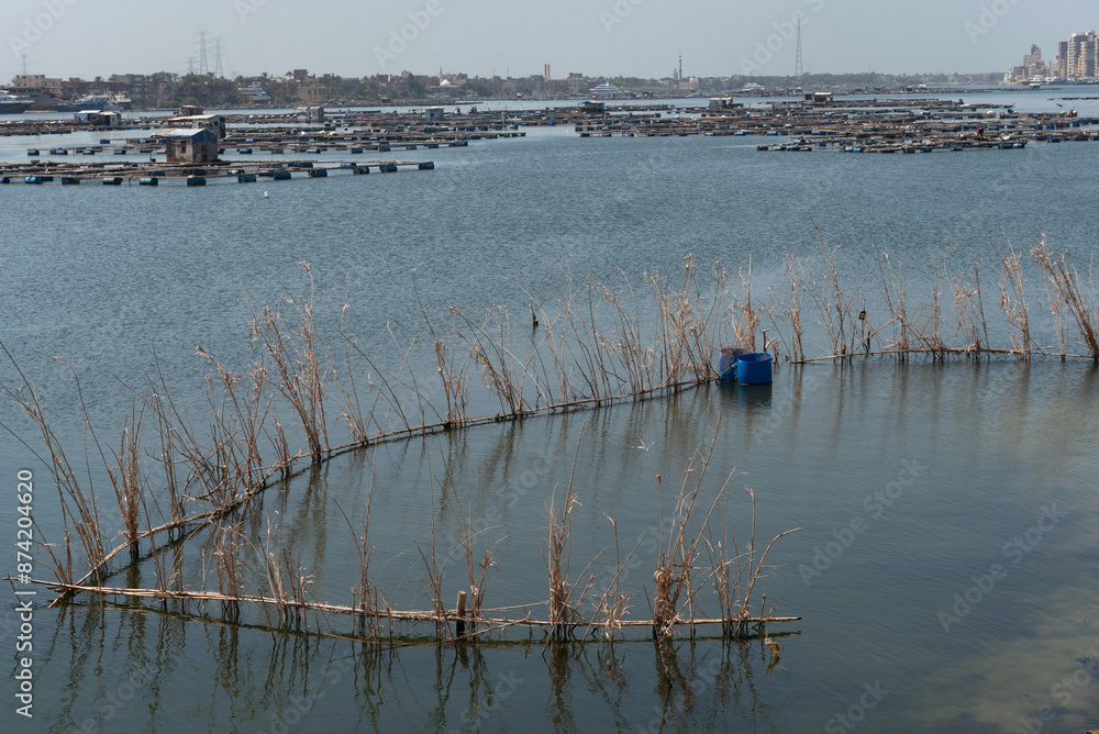 Reed fish traps a typical method of fishing near the fish farms of ...