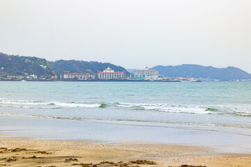 Wall Mural - Kamakura misty beach views spring Japan