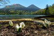 © ibuki - 阿寒国立公園・オンネトー　初夏の北海道の絶景 道東
