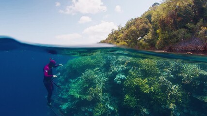 Poster - Freediver swims underwater near the corals in Raja Ampat region in Indonesia. Splitted underwater view of the diver and abundant coral reef