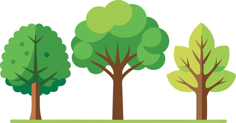 Three trees are shown in a row, with the middle tree being the tallest