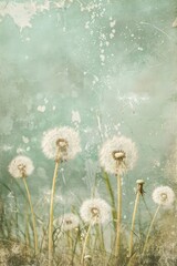 Poster - wild flowers meadow with dandelions