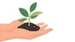 © pkproject - Caring Hands Nurturing a Green Sprout for a Sustainable Future