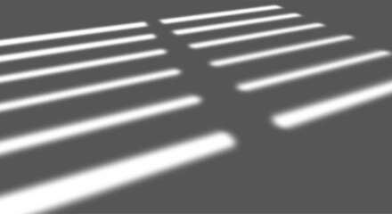 Fototapete - Shadow overlay effect on transparent background