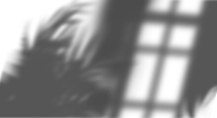 Fototapete - Realistic shadow overlay of palm tree branch. Transparent overlay shadow effect from tropical palm leaves. Realistic soft light effect of shadows and natural light on transparent background