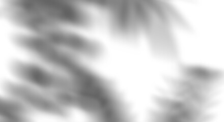Fototapete - Realistic transparent shadow from a leaf of a palm tree on the transparent background. Tropical leaves shadow. Mockup with palm leaves shadow