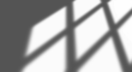 Fototapete - Realistic transparent shadow from a leaf of a palm tree on the transparent background. Tropical leaves shadow. Mockup with palm leaves shadow