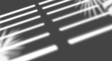 Fototapete - Leaves and window shadow overlay effect 