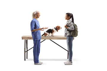 Sticker - Female veterinarian talking to a young female with a basset hound dog