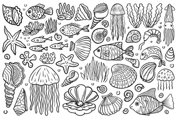 Wall Mural - Line art illustrations of underwater creatures. Hand drawn outline fishes, shells, meduses, sea stars, sea plants and more. Aquatic vector illustrations with black thin line