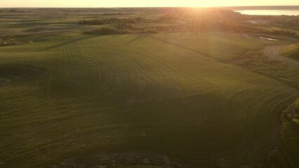 Wall Mural - aerial drone view of an agricultural landscape at sunset. the drone is moving forward and looking di