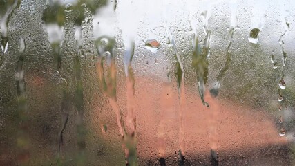 Wall Mural - raindrops falling on the window glass
